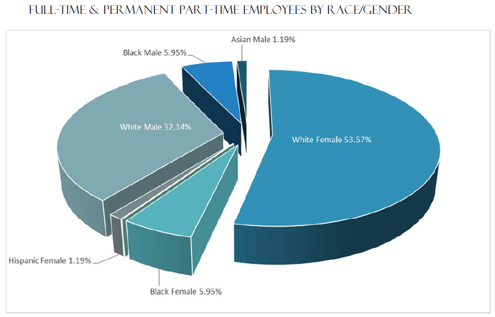 Full-Time and Permanent Part-Time Employees by Race/Gender | White Female 53.57% White Male 32.14% Black Male 5.95% Black Female 5.95% Hispanic Female 1.19% Asian Male 1.19%