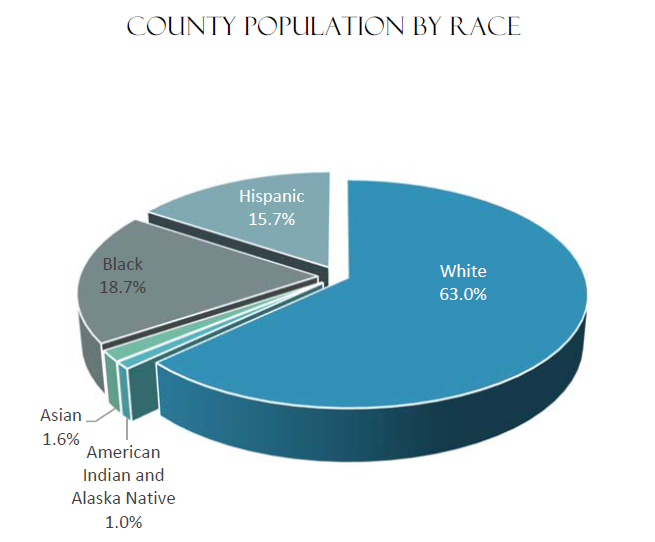 County Population by Race | White 63%, Black 18.7 %, Hispanic 15.7%, Asian 1.6%, American Indian and Alaska Native 1%