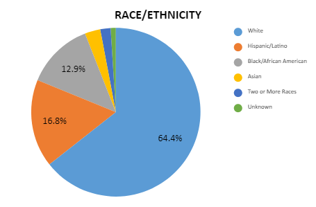 Race: 64% White. 17% Hispanic/Latino. 13% Black/African American. 3% Asian. 2% Two or more Races. 1% Unknown.